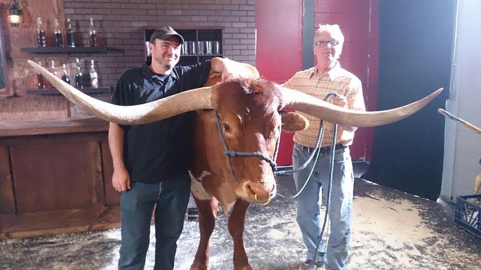 The crew posing with a Texas Longhorn steer with impressive wide horns in what appears to be an indoor venue or barn. One man wears a black shirt and baseball cap, while the other wears glasses and a plaid shirt. The setting has brick walls and appears to be a rustic restaurant or event space.